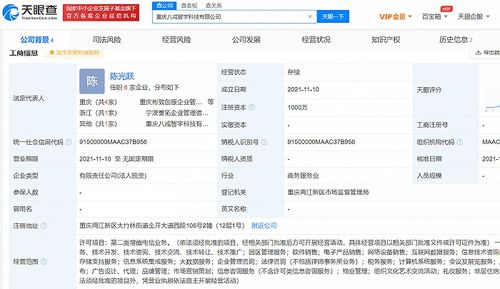 猪八戒网成立新公司，注资千万加码互联网数据服务