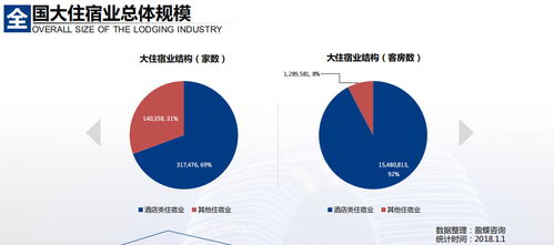 199it 深耕互联网数据服务，赋能智慧决策
